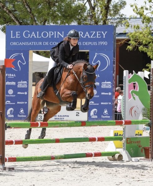 Centre Equestre - Elevage Du Gué - photo 3