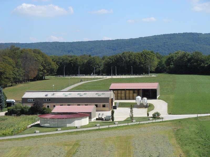 Ecurie de Thise - Besançon - photo 3