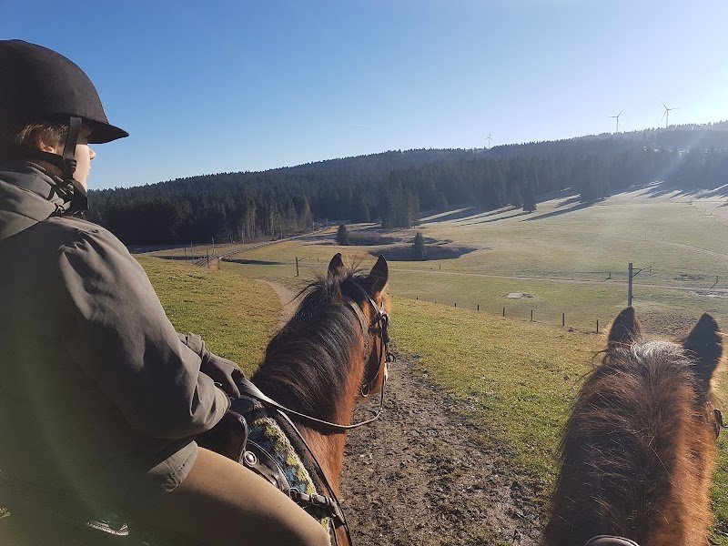 Écurie Double C - photo 1