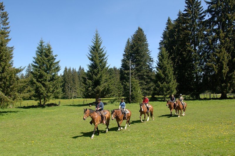 Écurie Double C - photo 2