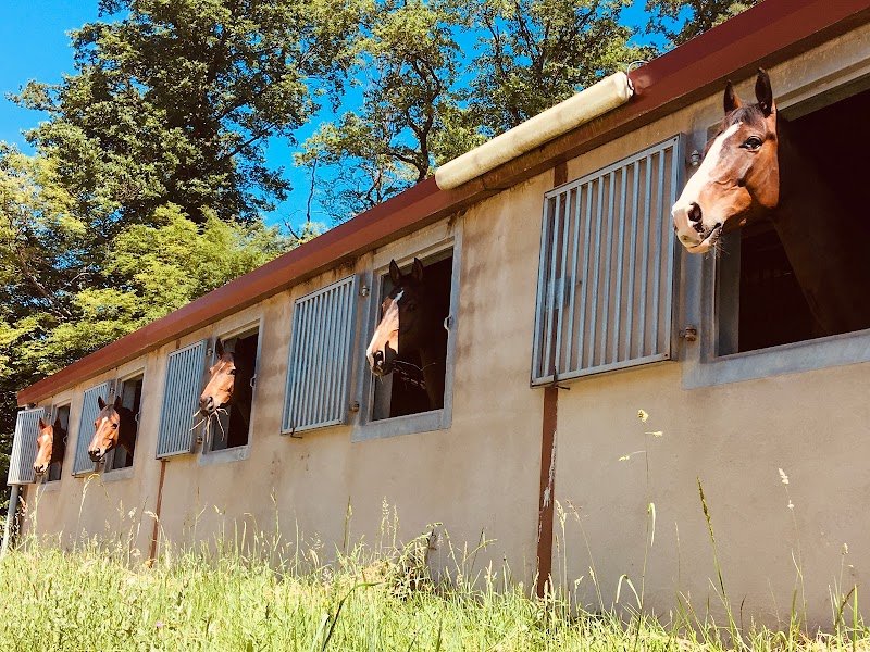 Ecuries de Moncley - photo 3