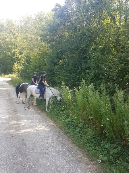 Centre équestre du Bois d'Ambre - photo 2