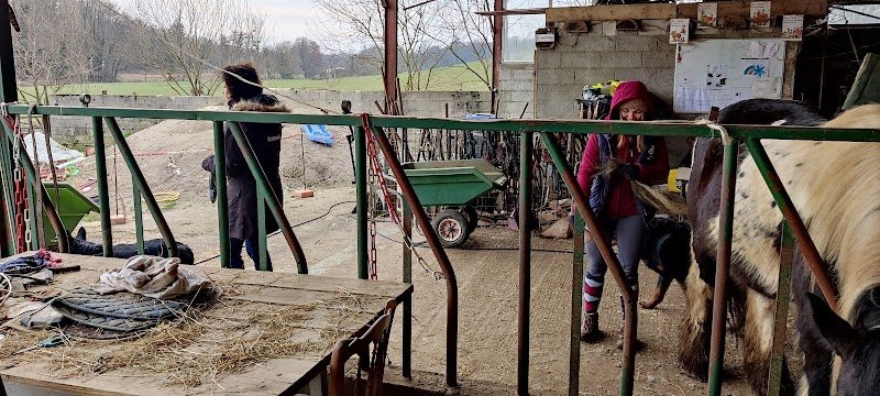 Centre équestre du Bois d'Ambre - photo 3