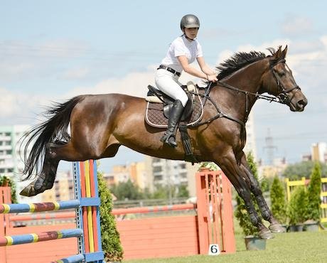 Centre Equestre Froehly