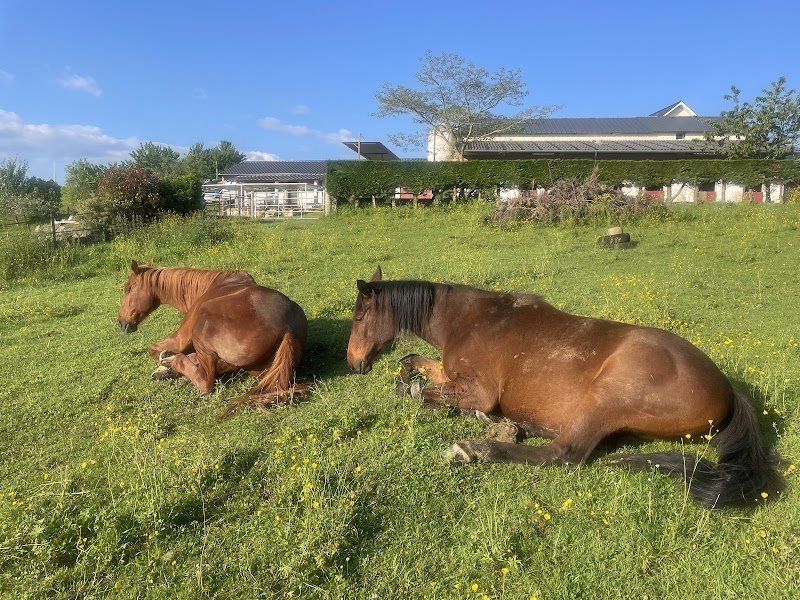 Ecuries de Barat - photo 3