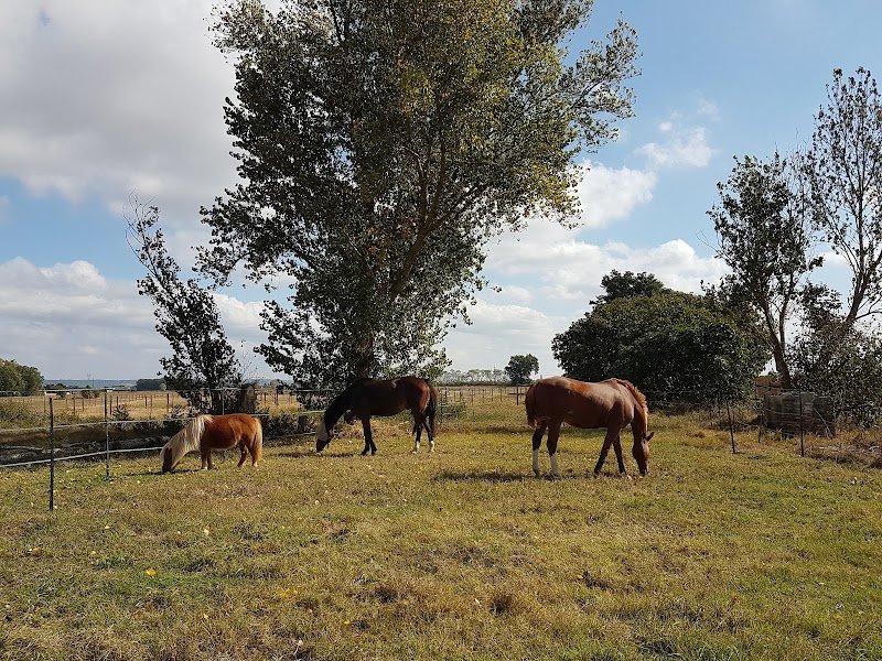 Les Écuries Des Barth's - photo 2