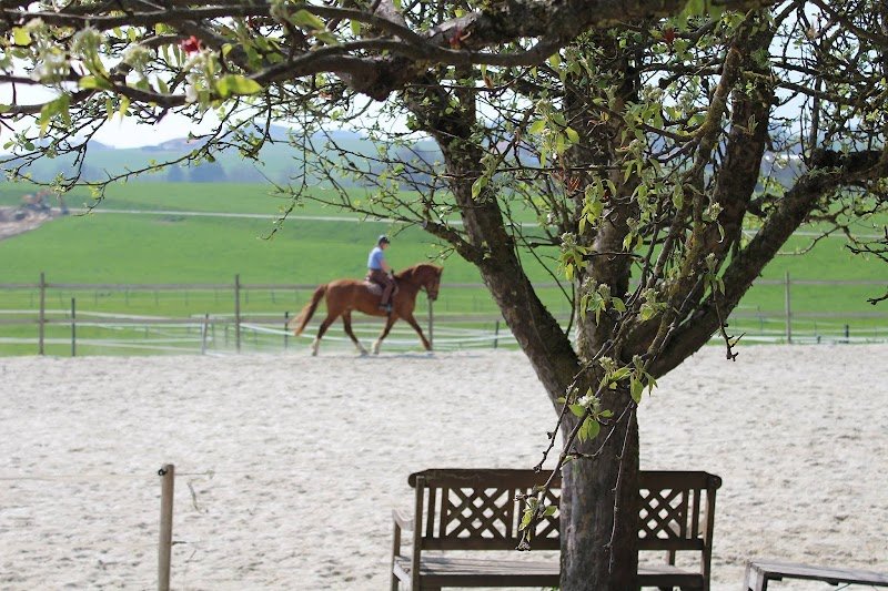 Les Ecuries de la Joux - photo 2
