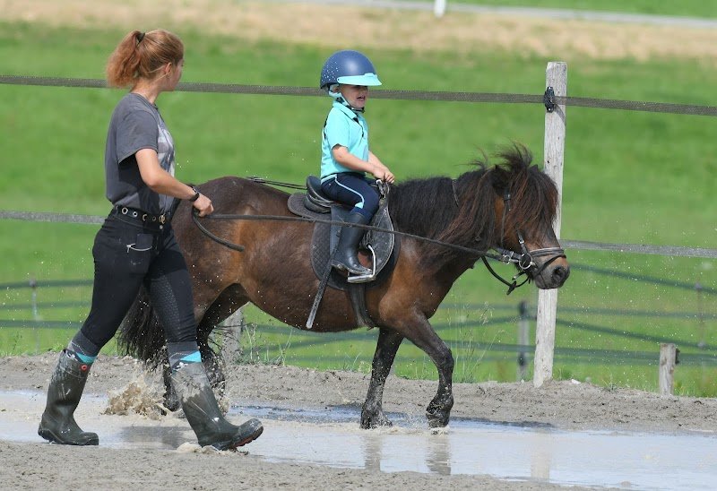 Les Ecuries de la Joux - photo 3
