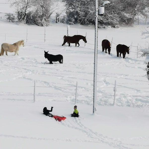 Gite et Ecuries de la Montay