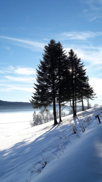 Gite et Ecuries de la Montay - photo 2