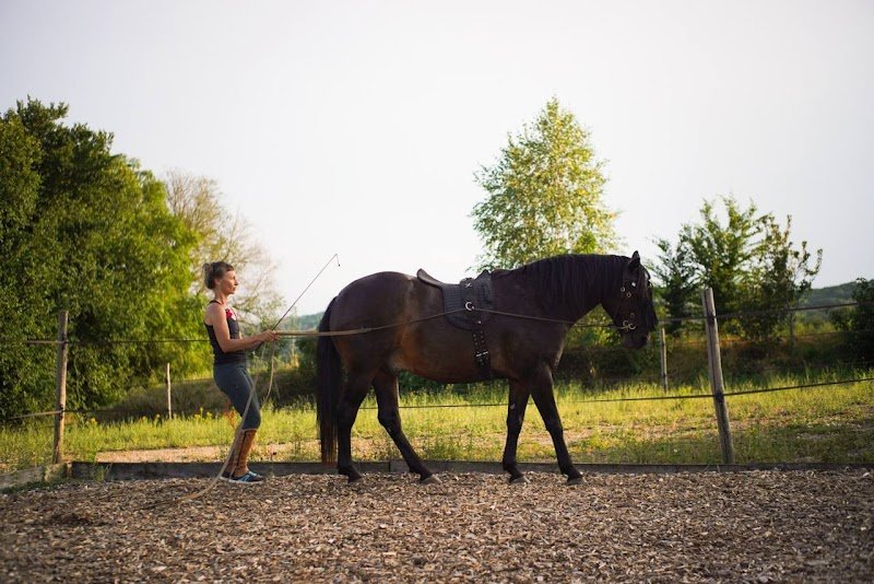 Les Chevaux de Beltane - photo 1