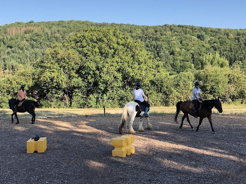 Les Chevaux de Beltane - photo 2