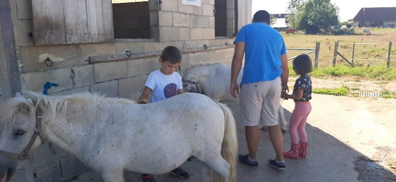 Ecurie Equi'val d'amour