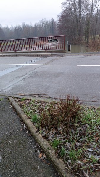 ECURIE DE LA MARNIERE - photo 3