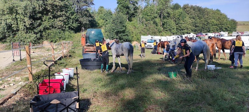 Ecuries du Salon - photo 2