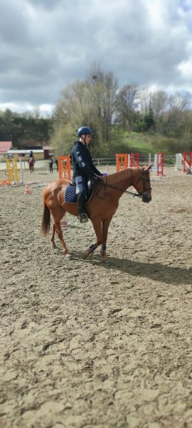 Ecuries du Salon - photo 3