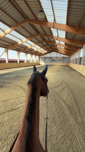 L'ecurie d'eden (Pension de propriétaire privé)