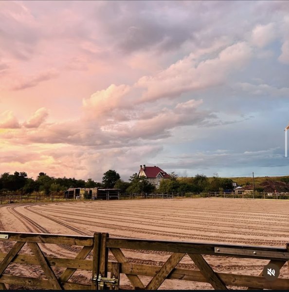 L'ecurie d'eden (Pension de propriétaire privé) - photo 2