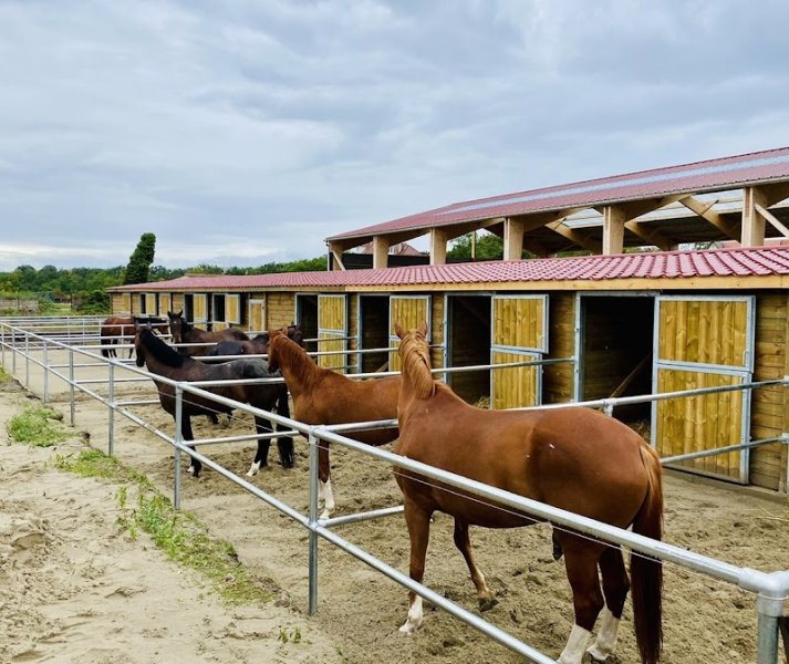 L'ecurie d'eden (Pension de propriétaire privé) - photo 3