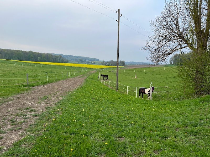 Écurie Leihouse, Self-service Reithalle, Manège, Indoor Horse arena, Pension pour chevaux, Pferdepension, Horse Boarding - photo 2