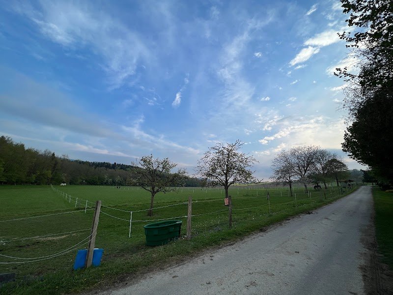 Écurie Leihouse, Self-service Reithalle, Manège, Indoor Horse arena, Pension pour chevaux, Pferdepension, Horse Boarding - photo 3