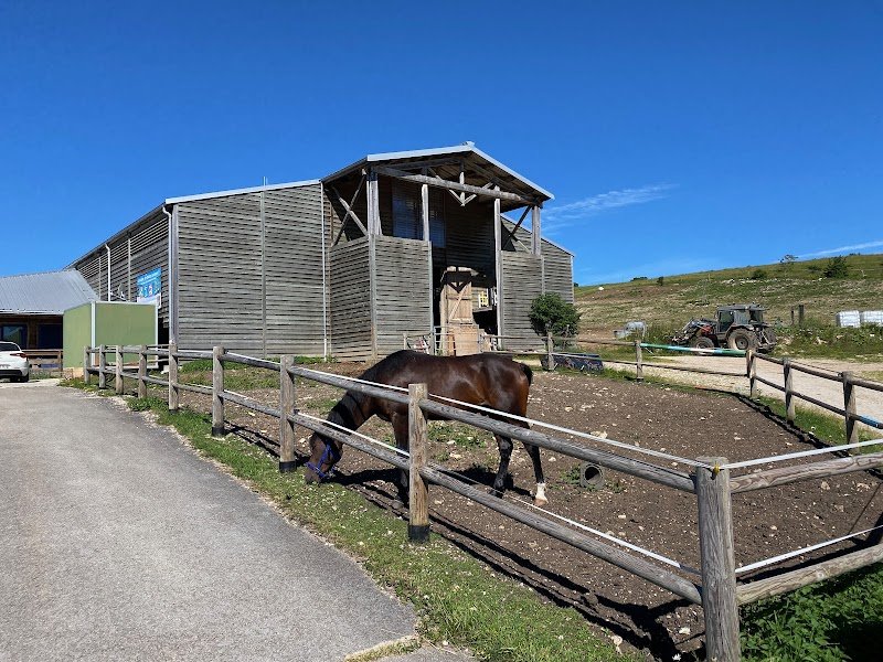 Cheval Passion Jura - photo 2