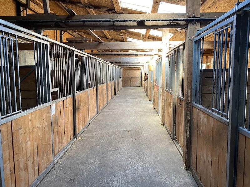 Cheval Passion Jura - photo 3