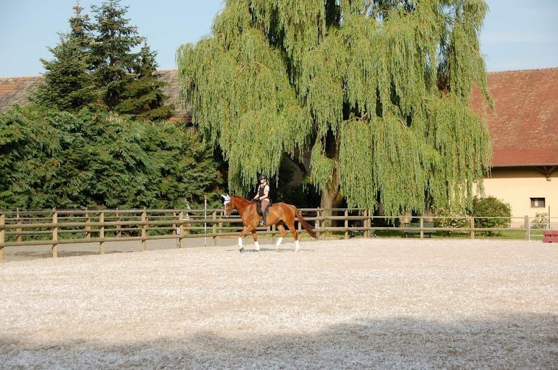 Ecurie de Valène - photo 1