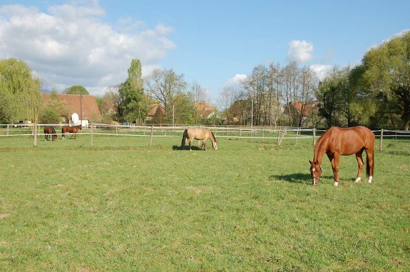 Ecurie de Valène - photo 2