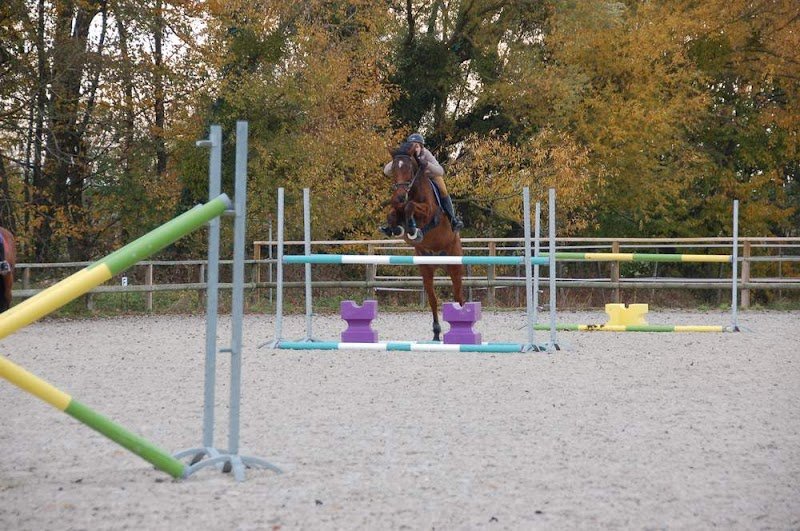 Ecurie de Valène - photo 3