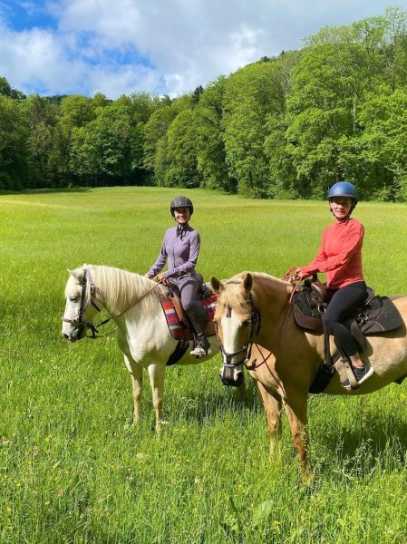 Ecurie de la Louvière