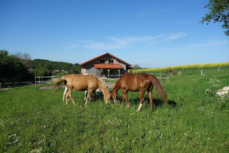 Ecurie de la Louvière - photo 2