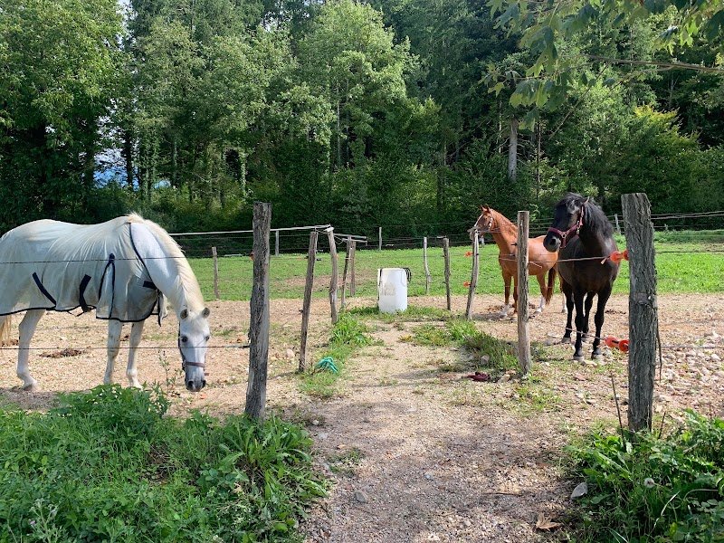 L'Écurie sous la montagne - photo 3
