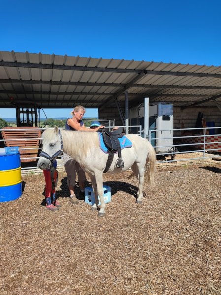Equi'libre, le cheval médiateur