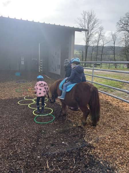 Equi'libre, le cheval médiateur - photo 3