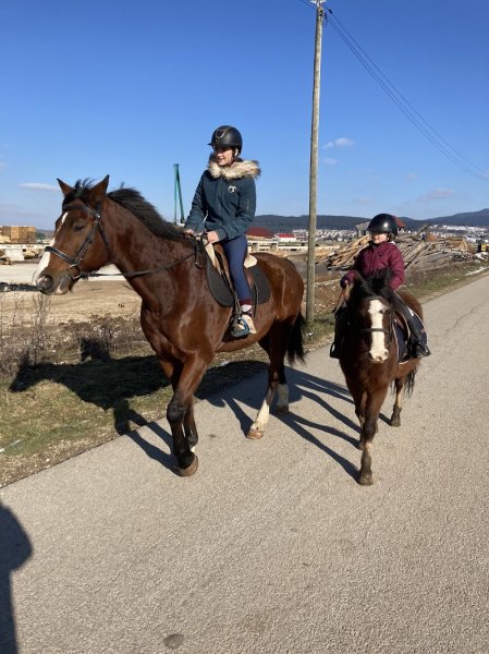 Écuries Romie et Elie Javaux