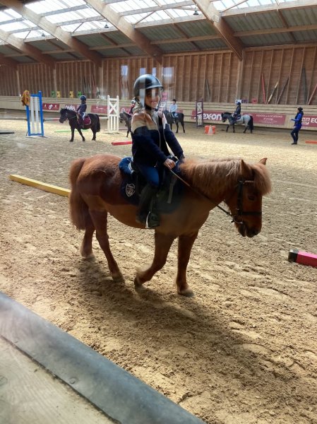 Écuries Romie et Elie Javaux - photo 2