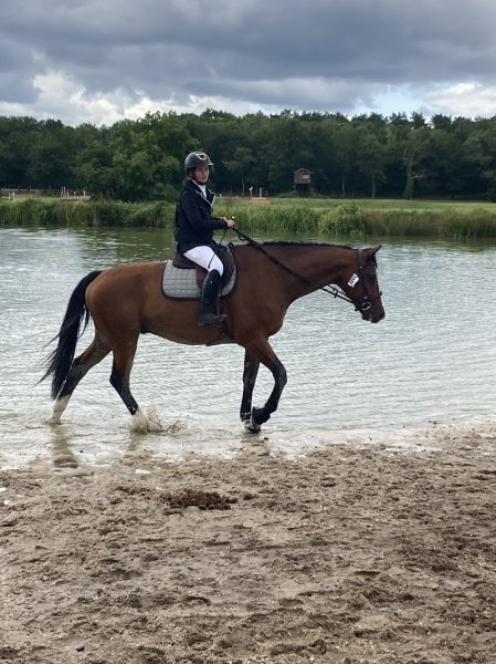 Écuries Romie et Elie Javaux - photo 3