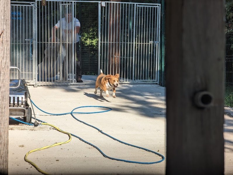 Pension Et Elevage Du Clos Des Rondins