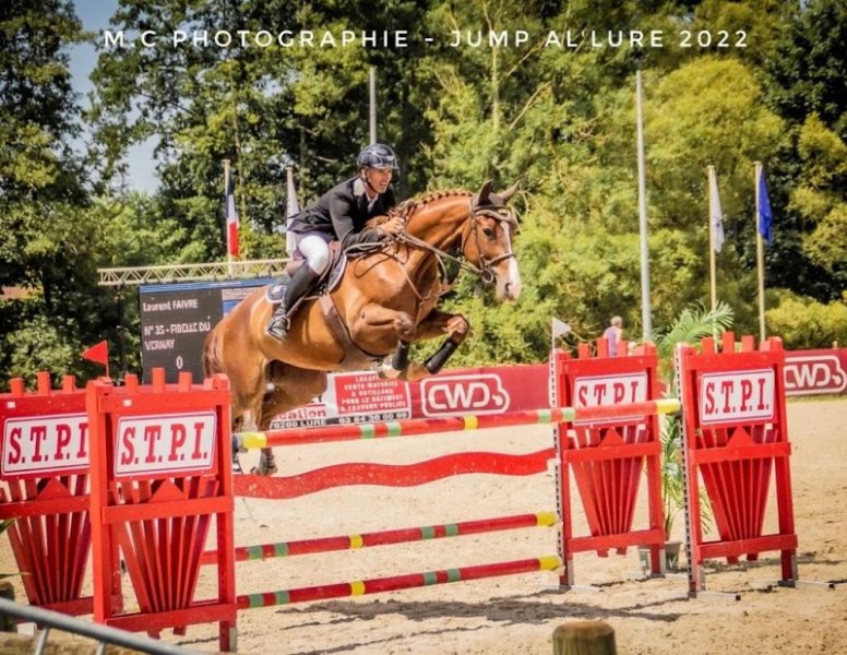 ÉCURIES D'OSSELLE / LAURENT FAIVRE - photo 2