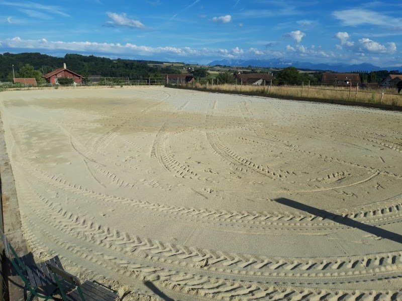 Pension pour chevaux / Domaine du Verger