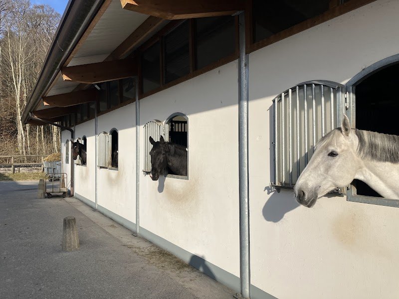 WE Ride - Ecurie Barbeau - photo 3