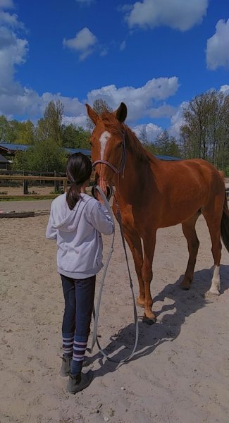 Les Ecuries Du Val D'ancre