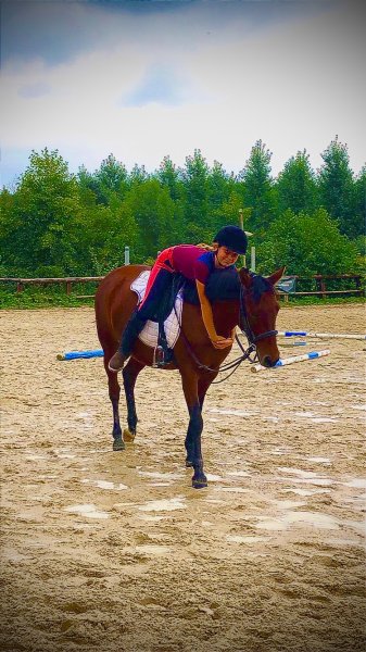 Les Ecuries Du Val D'ancre - photo 2