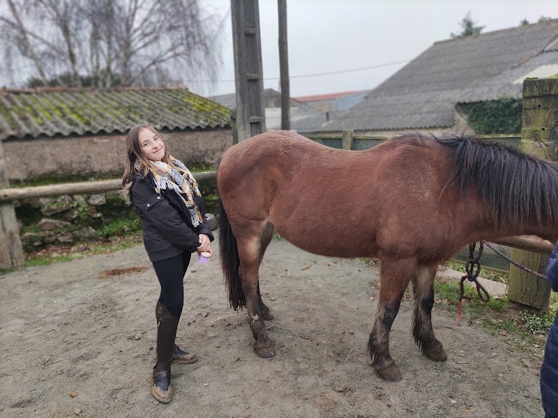 Ferme Equestre La Brissonnière - photo 3
