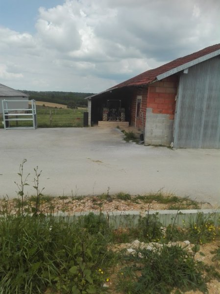 Écurie jlf - photo 1