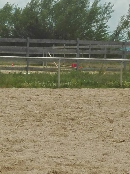 Écurie jlf - photo 3