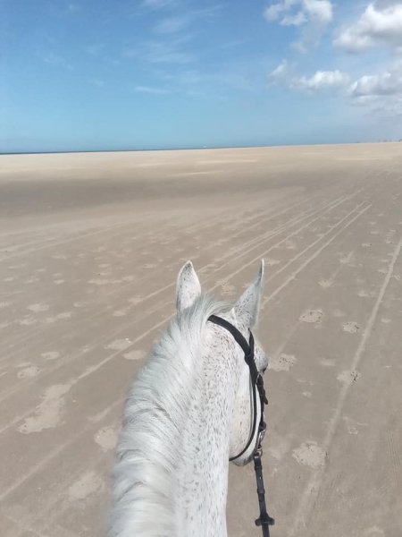 Les écuries d'Abel - photo 1