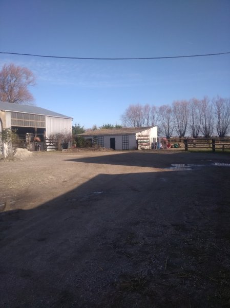 Les écuries d'Abel - photo 2