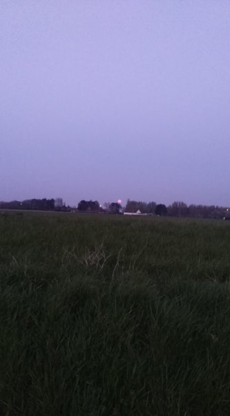 Écurie de propriétaire - photo 1